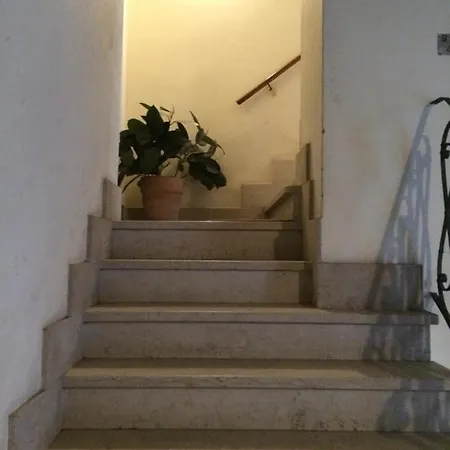 La Zulina Verona
